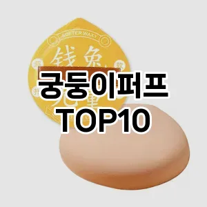 궁둥이퍼프 추천 순위  TOP10 구매가이드 2025년 7월 5주차