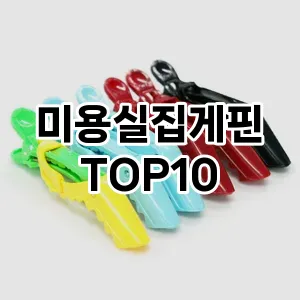 미용실집게핀 추천 순위  TOP10 구매가이드 2025년 7월 4주차