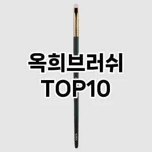 옥희브러쉬 추천 순위  TOP10 구매가이드 2025년 7월 4주차