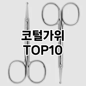 코털가위 추천 순위  TOP10 구매가이드 2025년 8월 4주차