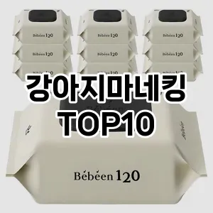 [강력추천]강아지마네킹 추천 순위  TOP10 구매가이드 2025년 9월 3주차