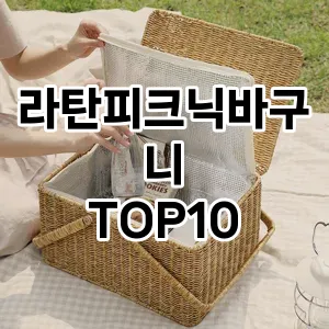 [솔직리뷰]라탄피크닉바구니 추천 순위  TOP10 구매가이드 2025년 9월 3주차