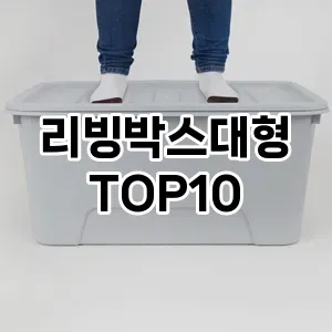 [진짜리뷰]리빙박스대형 추천 순위  TOP10 구매가이드 2025년 9월 5주차