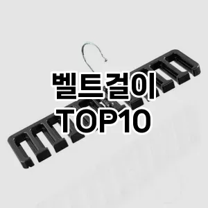 [후기보셈]벨트걸이 추천 순위  TOP10 구매가이드 2025년 9월 3주차