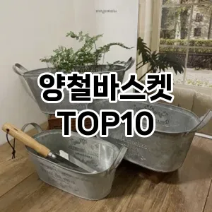 [봐보세요]양철바스켓 추천 순위  TOP10 구매가이드 2025년 9월 5주차