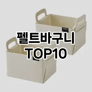 [특가제품]펠트바구니 추천 순위  TOP10 구매가이드 2025년 9월 1주차