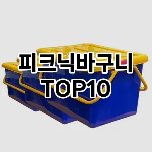[눌러봐요]피크닉바구니 추천 순위  TOP10 구매가이드 2025년 9월 1주차