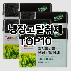 [진짜후기]냉장고탈취제 추천 순위  TOP10 구매가이드 2025년 10월 1주차