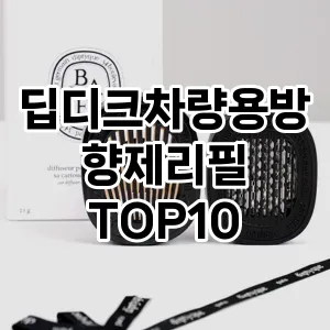 [베스트템]딥디크차량용방향제리필 추천 순위  TOP10 구매가이드 2025년 10월 4주차