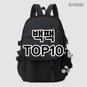 [리얼리뷰]백팩 추천 순위  TOP10 구매가이드 2025년 9월 2주차