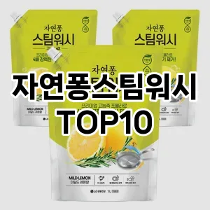 [추천특가]자연퐁스팀워시 추천 순위  TOP10 구매가이드 2025년 10월 4주차