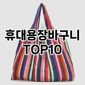 [눌러봐요]휴대용장바구니 추천 순위  TOP10 구매가이드 2025년 10월 1주차