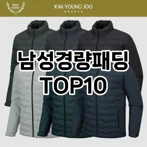 [할인제품]남성경량패딩 추천 순위  TOP10 구매가이드 2025년 11월 4주차