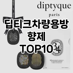 [눌러봐용]딥티크차량용방향제 추천 순위  TOP10 구매가이드 2025년 10월 4주차