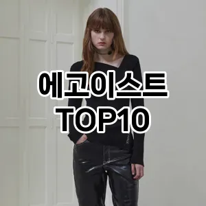 [대박할인]에고이스트 추천 순위  TOP10 구매가이드 2025년 11월 2주차