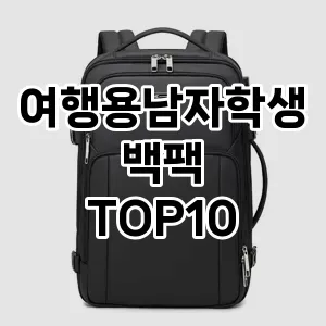 [눌러봐요]여행용남자학생백팩 추천 순위  TOP10 구매가이드 2025년 11월 4주차