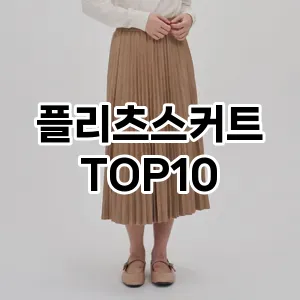 [추천안내]플리츠스커트 추천 순위  TOP10 구매가이드 2025년 11월 5주차