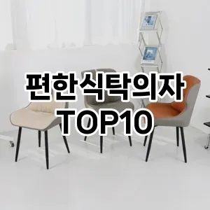 [솔직후기]편한식탁의자 추천 순위 TOP10 구매가이드 2025년 12월 2주차 - 트렌드