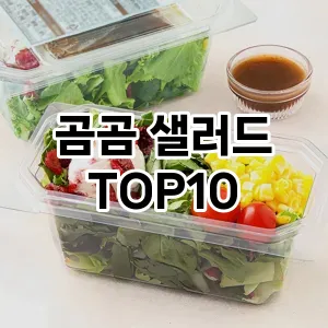 [추천안내]곰곰 샐러드 추천 순위  TOP10 구매가이드 2026년 1월 1주차후기 | 가성비 | 가격 리뷰
