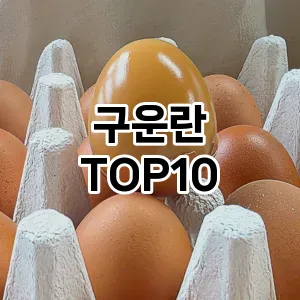 [눌러봐용]구운란 추천 순위  TOP10 구매가이드 2026년 1월 1주차제품 | 후기