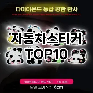 [후기보셈]자동차스티커 추천 순위  TOP10 구매가이드 2025년 12월 5주차