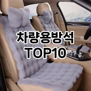[할인추천]차량용방석 추천 순위  TOP10 구매가이드 2025년 12월 5주차