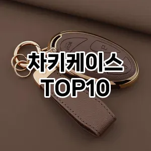 [추천소개]차키케이스 추천 순위  TOP10 구매가이드 2025년 12월 5주차