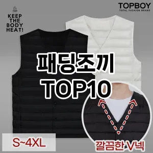 [진짜후기]패딩조끼 추천 순위  TOP10 구매가이드 2026년 1월 1주차| 후기리뷰 | 가격 비교