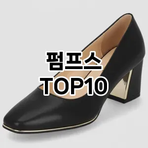 [핫딜안내]펌프스 추천 순위  TOP10 구매가이드 2026년 1월 1주차최고의 선택을 위한 완전한 안내서