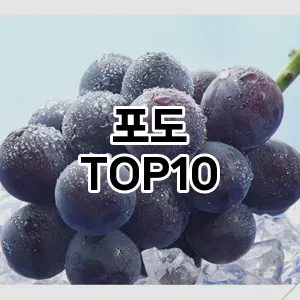 [핫딜안내]포도 추천 순위  TOP10 구매가이드 2025년 12월 2주차