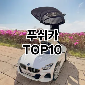 [할인추천]푸쉬카 추천 순위  TOP10 구매가이드 2025년 12월 2주차