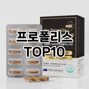 [추천소개]프로폴리스 추천 순위  TOP10 구매가이드 2025년 12월 2주차
