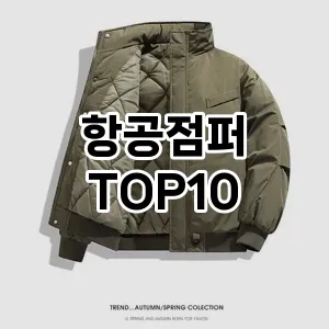 [추천안내]항공점퍼 추천 순위  TOP10 구매가이드 2026년 1월 1주차| 후기 | 가격 정보