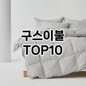 [레알핫템]구스이불 추천 순위  TOP10 구매가이드 2026년 1월 2주차(가격 장단점)