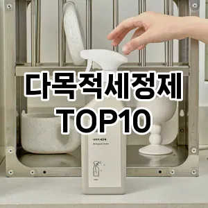 [리얼리뷰]다목적세정제 추천 순위  TOP10 구매가이드 2026년 1월 2주차(가격 장단점)
