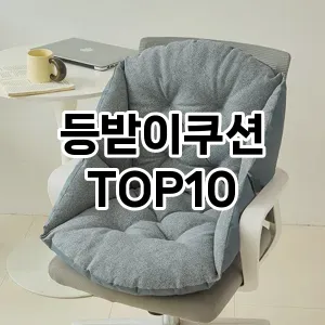 [베스트템]등받이쿠션 추천 순위  TOP10 구매가이드 2026년 1월 2주차최고의 선택을 위한 완전한 안내서