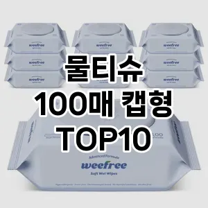 [진짜후기]물티슈 100매 캡형 추천 순위  TOP10 구매가이드 2026년 1월 1주차최고의 선택을 위한 완전한 안내서