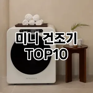[리뷰리뷰]미니 건조기 추천 순위  TOP10 구매가이드 2026년 1월 1주차(가격 장단점)