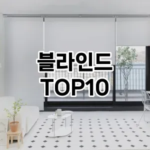 [할인추천]블라인드 추천 순위  TOP10 구매가이드 2026년 1월 2주차| 후기리뷰 | 가격 비교