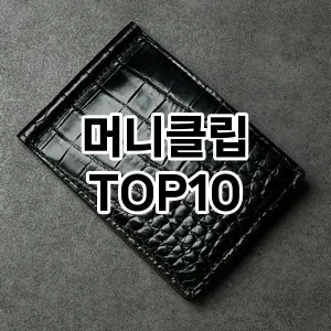 [봐보세요]머니클립 추천 순위  TOP10 일주일 사용