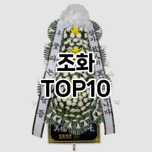 [봐보세요]조화 추천 순위  TOP10 고르는법