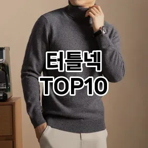 [강력추천]터틀넥 추천 순위  TOP10 실사용