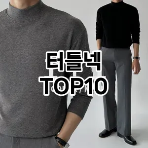[추천소개]터틀넥 추천 순위  TOP10 구매가이드 2026년 2월 1주차