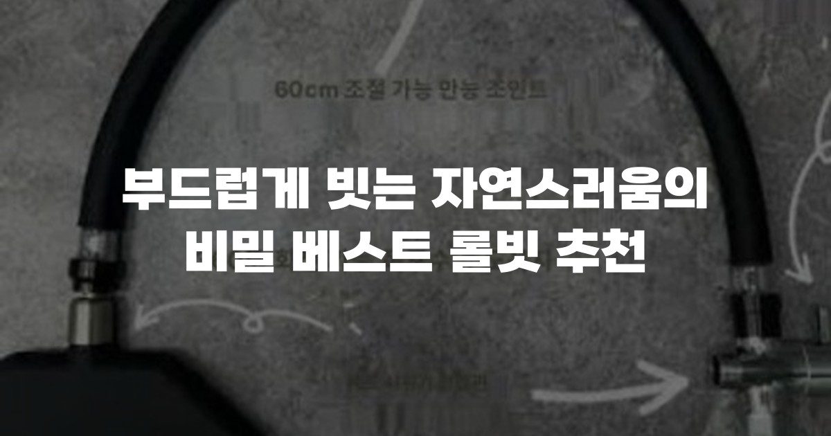 부드럽게 빗는 자연스러움의 비밀 베스트 롤빗 추천