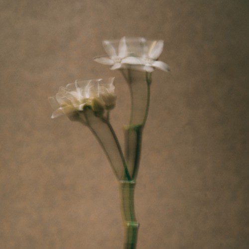 아로마티카 임브레이스 바디로션 네롤리 & 패츌리 300ML (리필) 고보습 진정