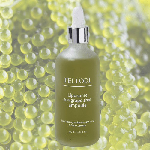 리포좀 100ML 앰플 에센스 세럼 바다포도 모공 수분 재생 보습 탄력 리프팅 주름 미백