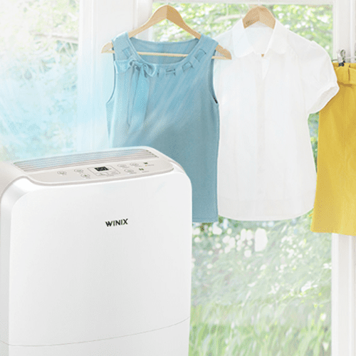 위닉스화이트카밍베이지 자동건조뽀송 제습기12L