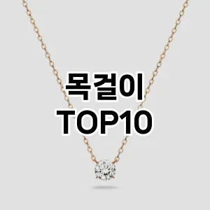 [레알핫템]목걸이 추천 순위  TOP10 실사용
