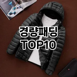 [리얼후기]경량패딩 추천 순위  TOP10 2026년 4월3주차
