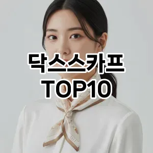 [핫템추천]닥스스카프 추천 순위 구매가이드 TOP10 2026년 4월4주차